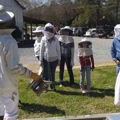 Group of Beekeepers receiving instruction